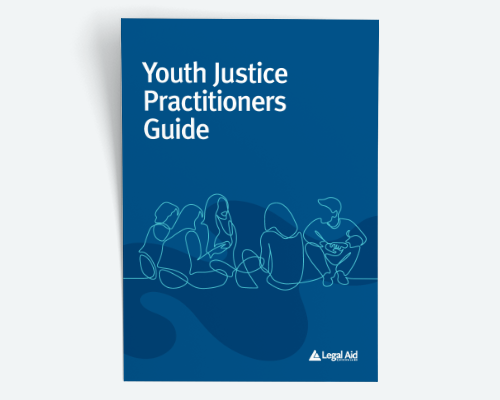 Cover of Youth Justice Practitioners Guide